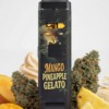 GAZO VAPE - H3BTA "Mango Pineapple" (Mango Pineapple) - 1ml CRD