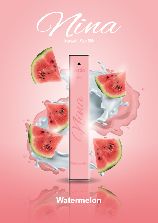 Nina 500 Einweg E-Zigarette "Watermelon"