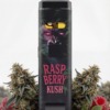 GAZO VAPE - H3BTA "Raspberry" (Raspberry) - 1ml CRD