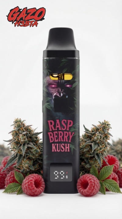 GAZO VAPE - H3BTA "Raspberry" (Raspberry) - 1ml CRD