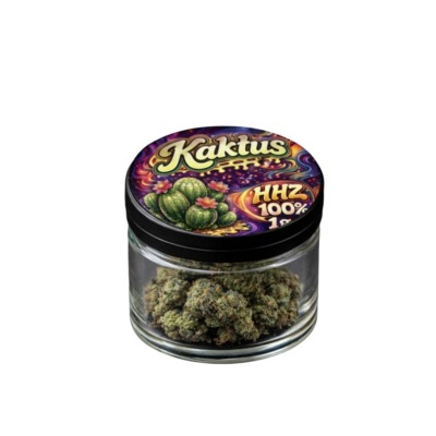 Pr1me H4ze HHZ Blüten – Kaktus