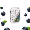 Wunder Zahnstocher "Blueberry"